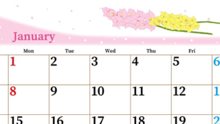 2024年1月横型の日曜始まり ピンクの花イラストのおしゃれカレンダー