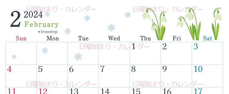 2024年2月横型の日曜始まり 白い花がかわいいイラストカレンダー