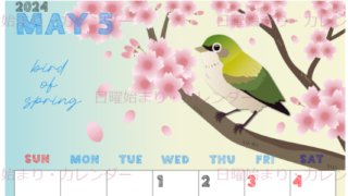 2024年5月縦型の日曜始まり 鶯と桜イラストのかわいいA4無料カレンダー