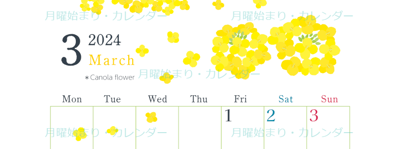 2024年3月縦型の月曜始まり 菜の花イラストのかわいいカレンダー