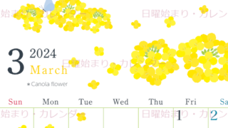 2024年3月縦型の日曜始まり 菜の花イラストのかわいいカレンダー