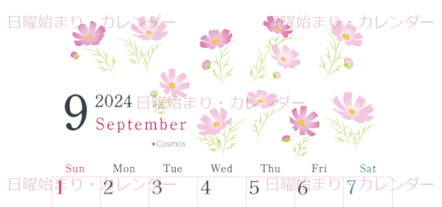 2024年9月縦型の日曜始まり コスモスがかわいいイラストA4無料カレンダー