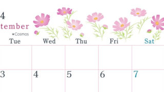 2024年9月横型の月曜始まり コスモスがかわいいイラストA4無料カレンダー