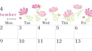 2024年9月横型の日曜始まり コスモスがかわいいイラストA4無料カレンダー