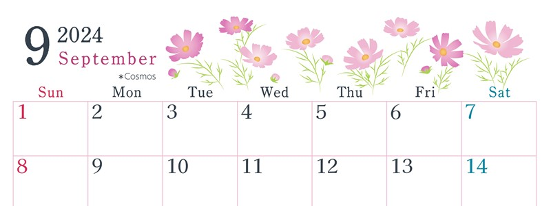 2024年9月横型の日曜始まり コスモスがかわいいイラストA4無料カレンダー