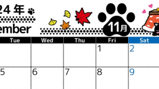 2024年11月横型の月曜始まり 黒猫イラストのかわいいA4無料カレンダー