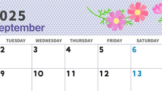 2025年9月横型の月曜始まり コスモスがおしゃれなイラストカレンダー