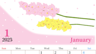 2025年1月縦型の日曜始まり ピンクの花イラストのおしゃれA4無料カレンダー