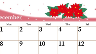 2025年12月横型の日曜始まり ポインセチアがおしゃれなイラストA4無料カレンダー