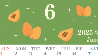 2025年6月縦型の日曜始まり びわのイラストがかわいいA4無料カレンダー