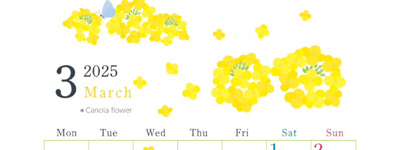 2025年3月縦型の月曜始まり 菜の花イラストのかわいいA4無料カレンダー