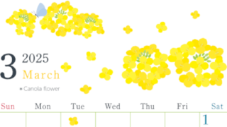 2025年3月縦型の日曜始まり 菜の花イラストのかわいいA4無料カレンダー