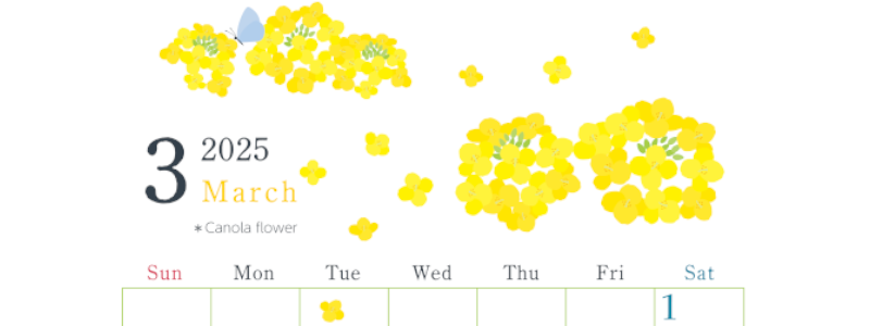 2025年3月縦型の日曜始まり 菜の花イラストのかわいいA4無料カレンダー