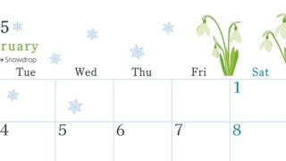 2025年2月横型の月曜始まり 白い花がかわいいイラストA4無料カレンダー