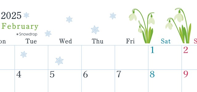 2025年2月横型の月曜始まり 白い花がかわいいイラストA4無料カレンダー