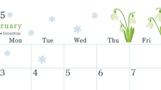2025年2月横型の日曜始まり 白い花がかわいいイラストA4無料カレンダー