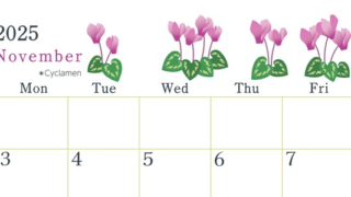 2025年11月横型の日曜始まり シクラメンがかわいいイラストA4無料カレンダー