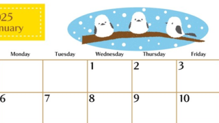 2025年1月横型の日曜始まり イラストのおしゃれA4無料カレンダー