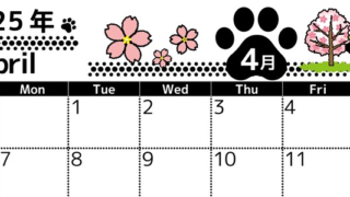2025年4月横型の日曜始まり 黒猫イラストのかわいいA4無料カレンダー