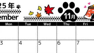 2025年11月横型の日曜始まり 黒猫イラストのかわいいA4無料カレンダー