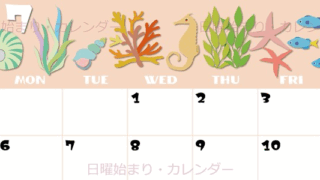 2026年7月横型の日曜始まり 海の生き物イラストがかわいいA4無料カレンダー