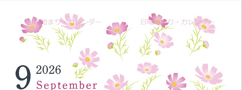 2026年9月縦型の日曜始まり コスモスがかわいいイラストA4無料カレンダー