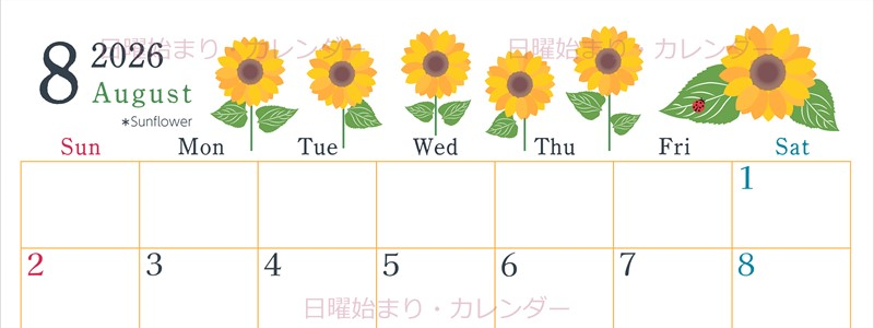 2026年8月横型の日曜始まり 夏の花のイラストがかわいいA4無料カレンダー