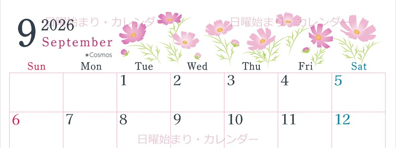 2026年9月横型の日曜始まり コスモスがかわいいイラストA4無料カレンダー