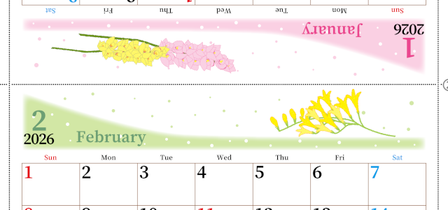 2026年の卓上カレンダー(1月・2月)は日曜始まり♪おしゃれで大きめ♪折り方が簡単で無料（A4）(2026-001301-0230)