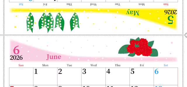 2026年の卓上カレンダー(5月・6月)は日曜始まり♪おしゃれで大きめ♪折り方が簡単で無料（A4）(2026-001305-0630)