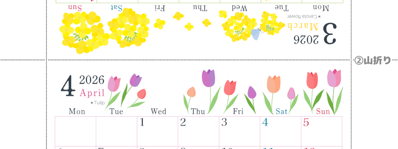 2026年の卓上カレンダー(3月・4月)は月曜始まり♪おしゃれなだけでなく使い方も簡単♪A4サイズ／プリント無料(2026-001903-0431)