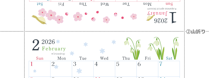 2026年の卓上カレンダー(1月・2月)は日曜始まり♪おしゃれなだけでなく使い方も簡単♪A4サイズ／プリント無料(2026-001901-0230)