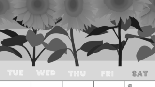 2026年8月縦型モノクロの月曜始まり 夏らしいイラストのかわいいA4無料白黒カレンダー(2026-00430811)