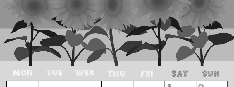 2026年8月縦型モノクロの月曜始まり 夏らしいイラストのかわいいA4無料白黒カレンダー(2026-00430811)