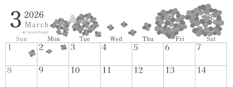 2026年3月横型モノクロの日曜始まり 菜の花イラストのかわいいA4無料白黒カレンダー(2026-00450300)