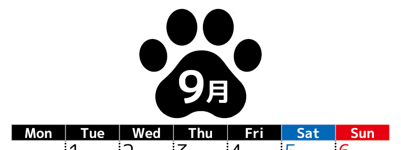 無料カレンダー：2026年9月縦型月曜始まり♪シンプルで書き込み欄が大きいのでおすすめ♪(2026-01210911)