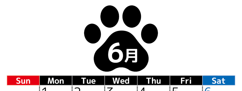 無料カレンダー：2026年6月縦型日曜始まり♪シンプルで書き込み欄が大きいのでおすすめ♪(2026-01210610)