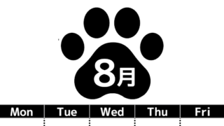 無料カレンダー：2026年8月縦型日曜始まり♪シンプルで書き込み欄が大きいのでおすすめ♪(2026-01210810)