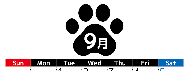 無料カレンダー：2026年9月縦型日曜始まり♪シンプルで書き込み欄が大きいのでおすすめ♪(2026-01210910)