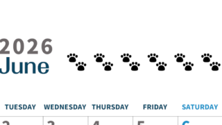 2026年6月カレンダーは縦型月曜始まりで猫の黒い肉球がゆるかわいいほっこりするイラストつき無料素材♪(2026-01220611)