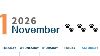 2026年11月カレンダーは縦型月曜始まりで猫の黒い肉球がゆるかわいいほっこりするイラストつき無料素材♪(2026-01221111)