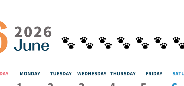 2026年6月カレンダーは縦型日曜始まりで猫の黒い肉球がゆるかわいいほっこりするイラストつき無料素材♪(2026-01220610)
