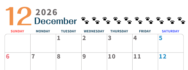 2026年12月カレンダーは横型日曜始まりで猫の黒い肉球がゆるかわいいほっこりするイラストつき無料素材♪(2026-01221200)