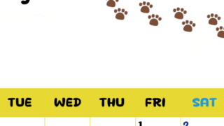 2026年5月カレンダーは縦型月曜始まりで無料！ねこのベージュぷにぷに肉球イラストがほっこりかわいい！(2026-01240511)
