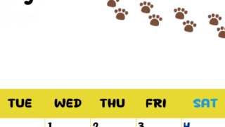 2026年7月カレンダーは縦型月曜始まり で猫の自由きままな足あとがおしゃれかわいいデザインなのでおすすめ：無料(2026-01240711)
