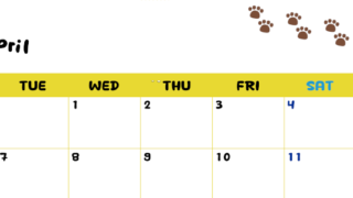 2026年4月カレンダーは横型月曜始まりで無料！ねこのベージュぷにぷに肉球イラストがほっこりかわいい！(2026-01240401)