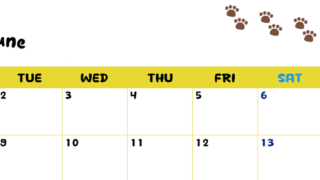 2026年6月カレンダーは横型月曜始まりで無料！ねこのベージュぷにぷに肉球イラストがほっこりかわいい！(2026-01240601)