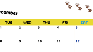 2026年12月カレンダーは横型月曜始まりで無料！ねこのベージュぷにぷに肉球イラストがほっこりかわいい！(2026-01241201)