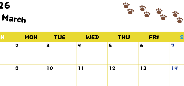 2026年3月カレンダーは横型日曜始まりで無料！ねこのベージュぷにぷに肉球イラストがほっこりかわいい！(2026-01240300)
