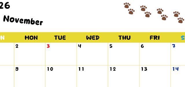 2026年11月カレンダーは横型日曜始まりで無料！ねこのベージュぷにぷに肉球イラストがほっこりかわいい！(2026-01241100)